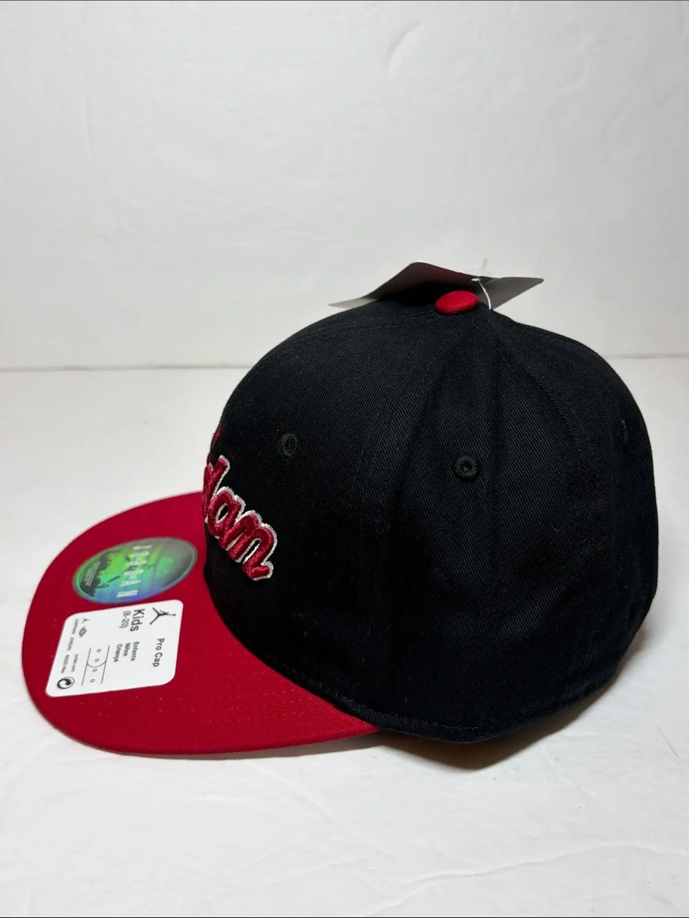 Air Jordan Worldwide Pro Cap SnapBack Boys Hat NWT